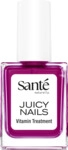 Sant&eacute; Juicy Nails 01 Plum Glaze 4025089008767