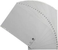 Register Exacompta 1931E, Format A4, Universallochung, Taben 1-31, B 225 x H...