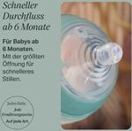 Tommee Tippee 2er-Pack Trinksauger, schnell 6M+