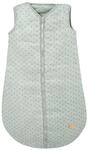 Roba Schlafsack Lil Planet frosty green 4141189