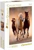 Clementoni - High Quality Collection - Running horses, 1000 Teile, Spielwaren