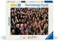 Erwachsenenpuzzle 1000 Teile - Challenge Harry Potter