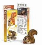 EUGY - 3D Bastelset Eichh&ouml;rnchen