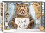 Feline Felon