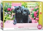 Family Puzzle 500 Teile - Oversize - Black Labs in Pink Box