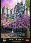 Photo Odyssey: Notre-Dame Cathedral of Paris