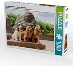 drei Cocker sitzen vor einer Steinfigur (Puzzle)