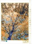 CALVENDO Puzzle Wo Erinnerungen wie Bl&auml;ter treiben 1000 Teile Lege-Gr&ouml;&szlig;e 64x48cm