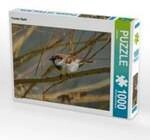 CALVENDO Puzzle Frecher Spatz 1000 Teile Lege-Gr&ouml;&szlig;e 64 x 48 cm Foto-Puzzle Bild von