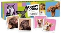 Memo-Spiel: Funny Dogs!