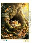 CALVENDO Puzzle Ein Motiv aus dem Kalender "Zwischen Moos und Morgentau" 1000...