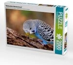 CALVENDO Puzzle "Wellensittich Wandschmuck" 2000 Teile Puzzle quer 2000 Teile