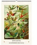 Ernst Haeckel. Kunstformen der Natur. Wandkalender 2027