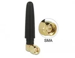 Delock 12624 12624 WLAN Antenne 2 dBi 2.4GHz