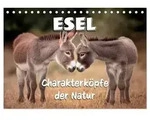 Esel - Charakterk&ouml;pfe der Natur (Tischkalender 2027 DIN A5 quer), CALVENDO