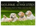 Goldige Aussichten - Mit Golden Retriever Welpen durch das Jahr (Wandkalender...