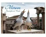 M&ouml;wen- Botschafter des Windes (Wandkalender 2027 DIN A4 quer), CALVENDO