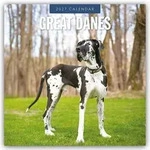 Great Danes &ndash; Deutsche Dogge 2027 &ndash; 16-Monatskalender