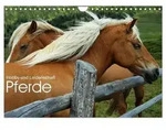 Pferde - Hobby und Leidenschaft (Wandkalender 2027 DIN A4 quer), CALVENDO