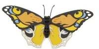 3D-Modell, Schmetterling bunt