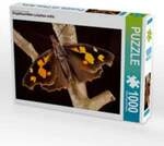 CALVENDO Puzzle Z&uuml;rgelbaumfalter (Libythea celtis) 1000 Teile Puzzle quer 1000...
