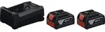 Bosch Professional 1.600.A03.CH1 2xGBA18V 5.0Ah; GAL12V/18 Werkzeug-Akku 18V