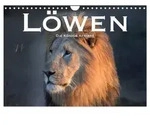 L&ouml;wen. Die K&ouml;nige Afrikas (Wandkalender 2027 DIN A4 quer), CALVENDO Monatskalender