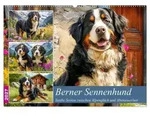 Berner Sennenhund. Sanfte Seelen zwischen Alpengl&uuml;ck und Abenteuerlust...
