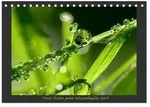 Meine kleine gr&uuml;ne Wassertropfen Welt (Tischkalender 2027 DIN A5 quer), CALVENDO