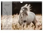 Pferde - Spiegel deiner Seele (Wandkalender 2027 DIN A4 quer), CALVENDO