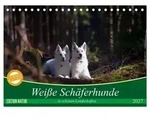 Wei&szlig;e Sch&auml;ferhunde in sch&ouml;nen Landschaften (Tischkalender 2027 DIN A5 quer),