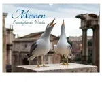 M&ouml;wen- Botschafter des Windes (Wandkalender 2027 DIN A3 quer), CALVENDO