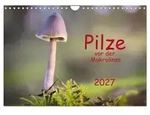Pilze vor der Makrolinse 2027 (Wandkalender 2027 DIN A4 quer), CALVENDO