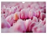 Tulpen - Hollands Stolz (Wandkalender 2027 DIN A4 quer), CALVENDO Monatskalender