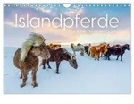Islandpferde - Die s&uuml;&szlig;en Pferde im Norden. (Wandkalender 2027 DIN A4 quer),