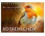 Bei uns im Garten - Rotkehlchen (Tischkalender 2027 DIN A5 quer), CALVENDO