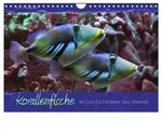 Korallenfische im Lichtschimmer des Meeres (Wandkalender 2027 DIN A4 quer),...