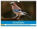 Eichelh&auml;her - Egon der Eichelh&auml;her fotografiert von Ostfriesenfotografie