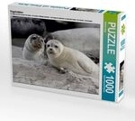CALVENDO Puzzle Kegelrobben 1000 Teile Lege-Gr&ouml;&szlig;e 64x48cm Foto-Puzzle f&uuml;r