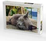 CALVENDO Puzzle Katzenportrait auf der Insel Cres in Kroatien 1000 Teile...