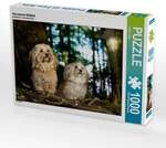 CALVENDO Puzzle Havaneser-M&auml;dels 1000 Teile Lege-Gr&ouml;&szlig;e 64x48cm Foto-Puzzle...