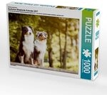 Ein Motiv aus dem Kalender Australian Shepherds Kalender 2017 (Puzzle)