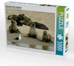 CALVENDO Puzzle Seehunde auf der Sandbank 1000 Teile Lege-Gr&ouml;&szlig;e 64 &times; 48 cm
