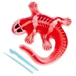 Scout Dissect-It Salamander