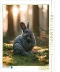CALVENDO Puzzle Erst putzen, dann posieren! 2000 Teile Lege-Gr&ouml;&szlig;e 90 &times; 67 cm