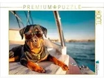 CALVENDO Puzzle Rottweiler - Der Boss an Bord 1000 Teile Lege-Gr&ouml;&szlig;e 64 &times; 48...