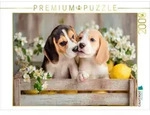 CALVENDO Puzzle Beagles - Ein K&uuml;sschen f&uuml;r dich 2000 Teile Lege-Gr&ouml;&szlig;e 90 &times;...