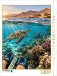 CALVENDO Puzzle Schnorcheln im Roten Meer 1000 Teile Lege-Gr&ouml;&szlig;e 64 &times; 48 cm