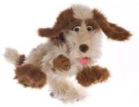 Tillmann der Hund