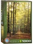 Waldweg
